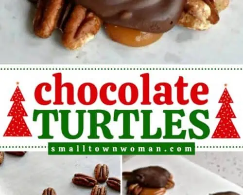 Chocolate Turtles