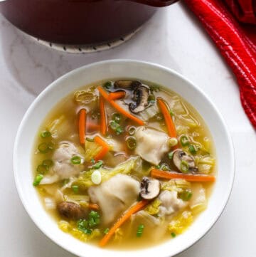 Wonton Soup