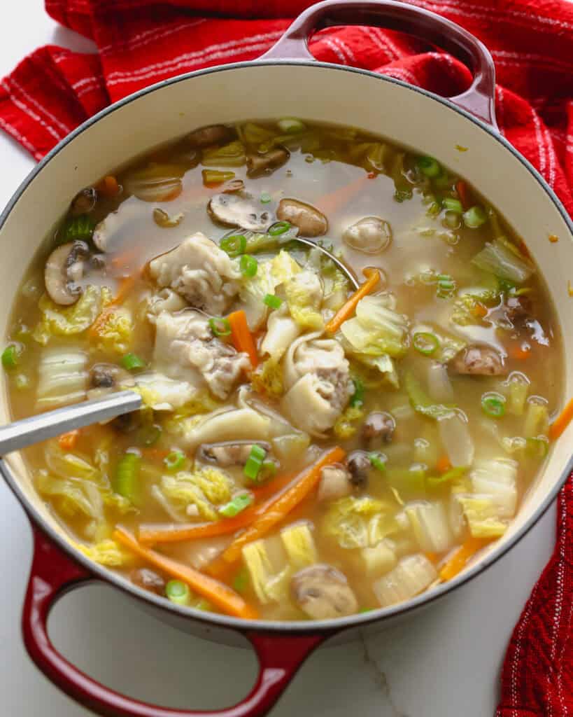 A dark red Dutch oven and ladle full womton soup. 