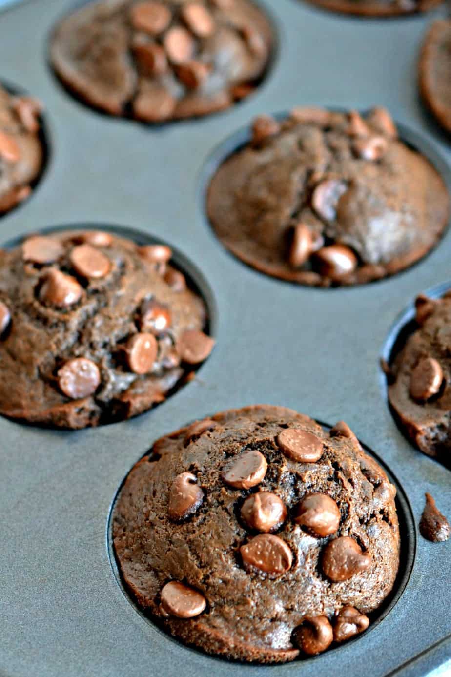 This Chocolate Chip Muffin Recipe is simple and sweet, perfect for any chocolate lover.