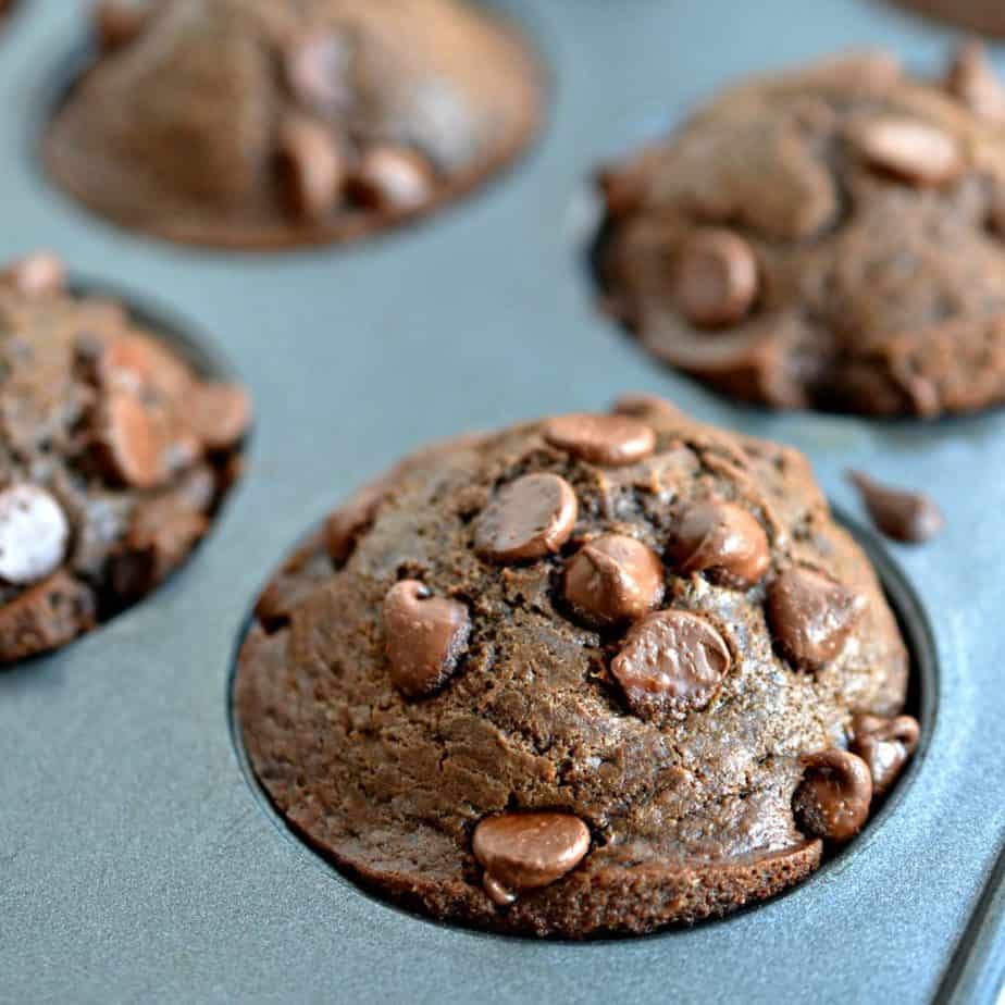 Double Chocolate Muffins