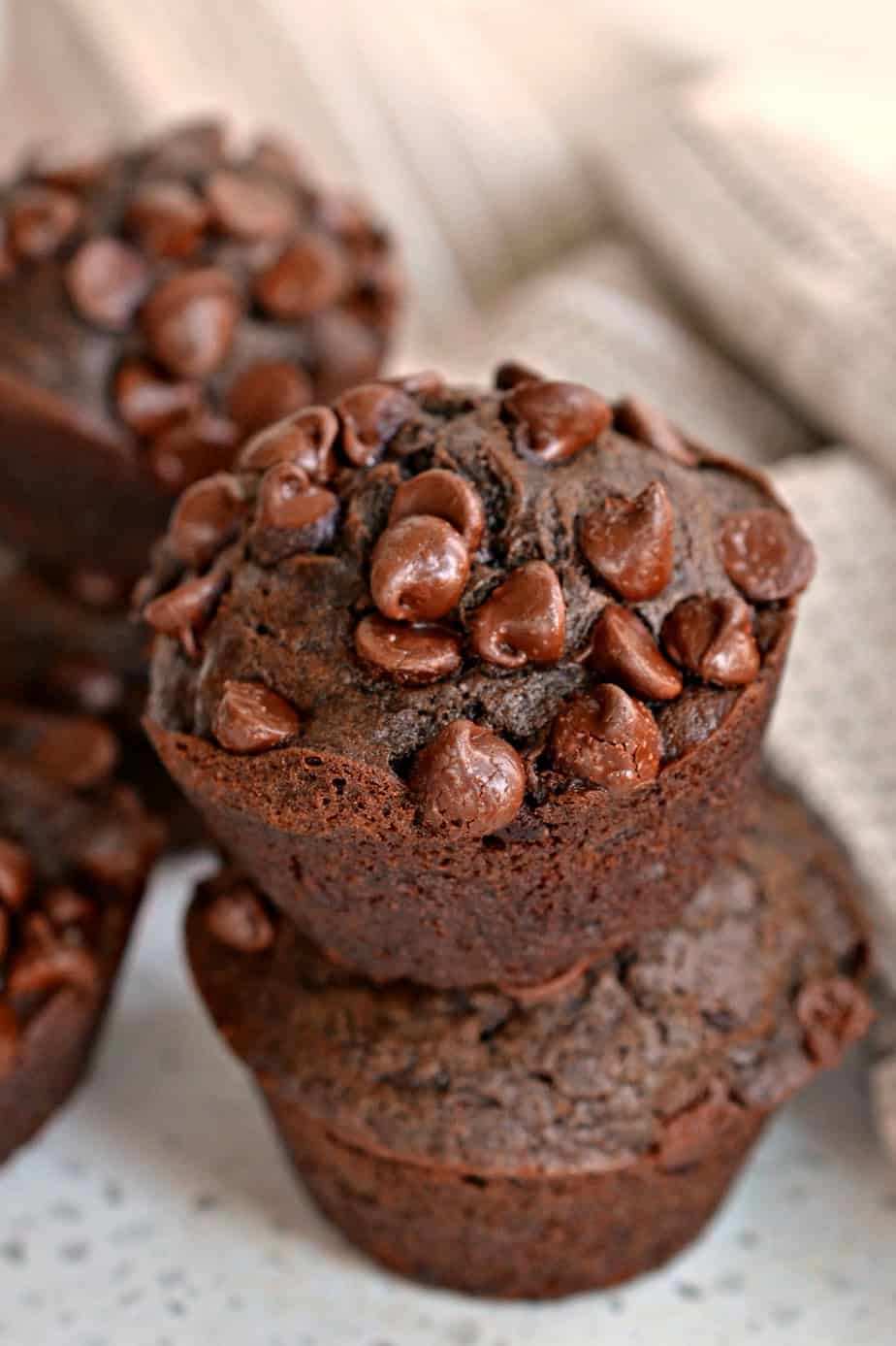 Chocolate Chocolate Chip Muffins are a Chocolate lovers dream