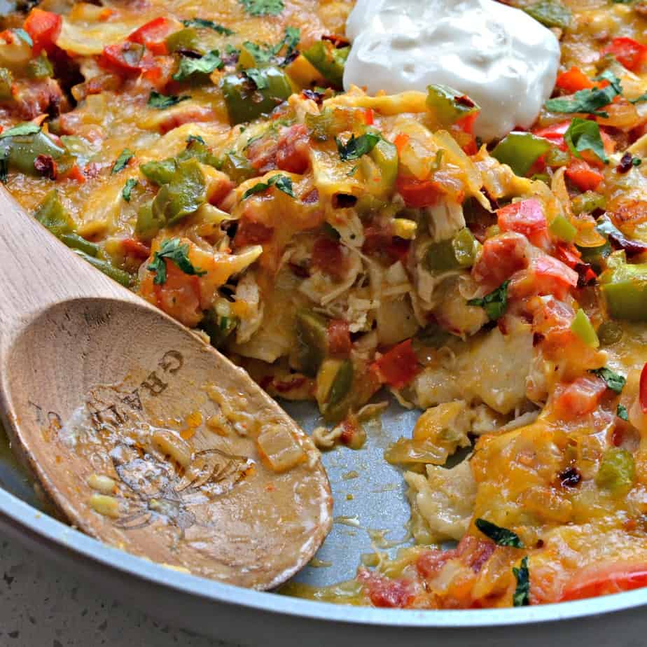 Corn tortillas, chicken, onions, peppers, tomatoes, and cheddar jack cheese are combined in a creamy chicken sauce, covered with cheese, and baked to golden comfort food perfection.