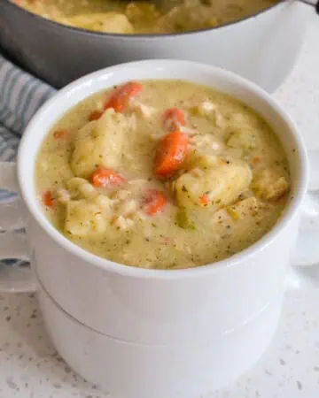 Chicken Dumpling Soup