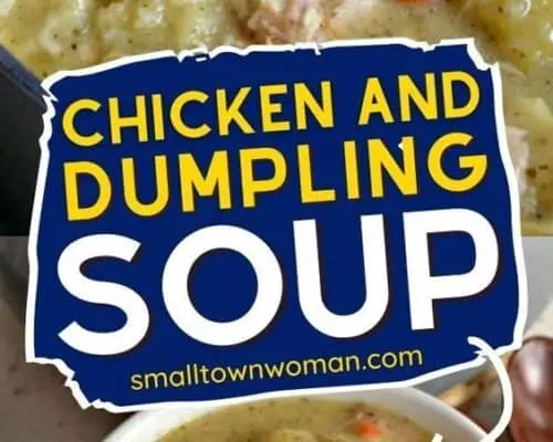 Chicken and Dumpling Soup