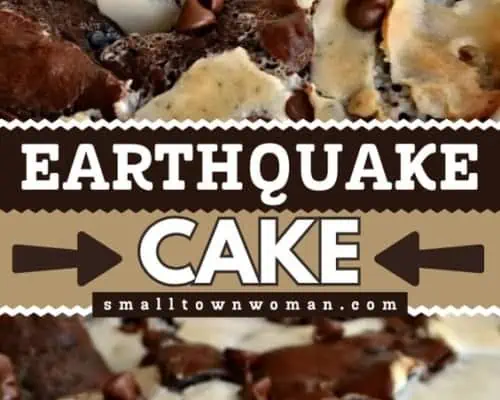 Earthquake Cake
