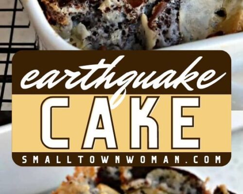 Earthquake Cake