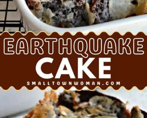 Earthquake Cake