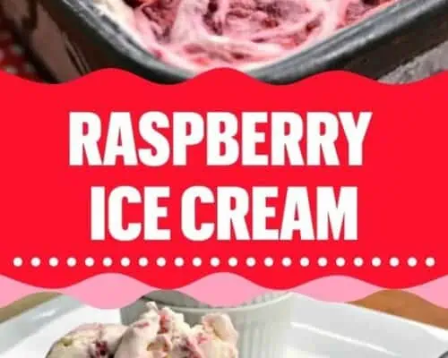 Raspberry Ice Cream