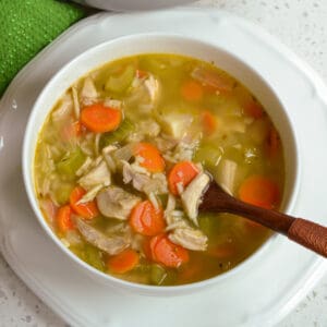 Mexican Chicken Soup Recipe | Small Town Woman