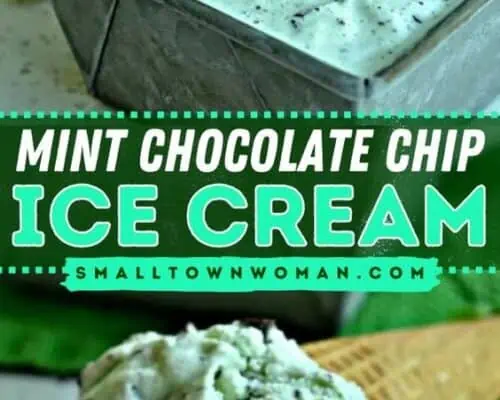 Mint Chocolate Chip Ice Cream