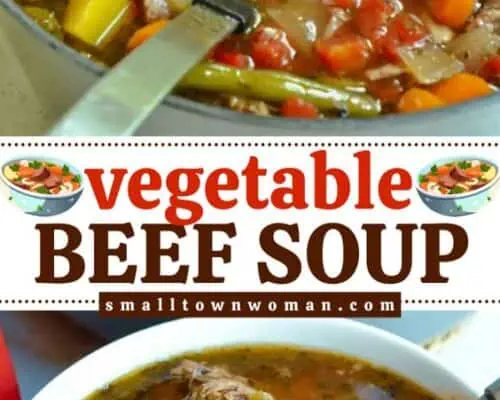 Beef Vegetable Soup