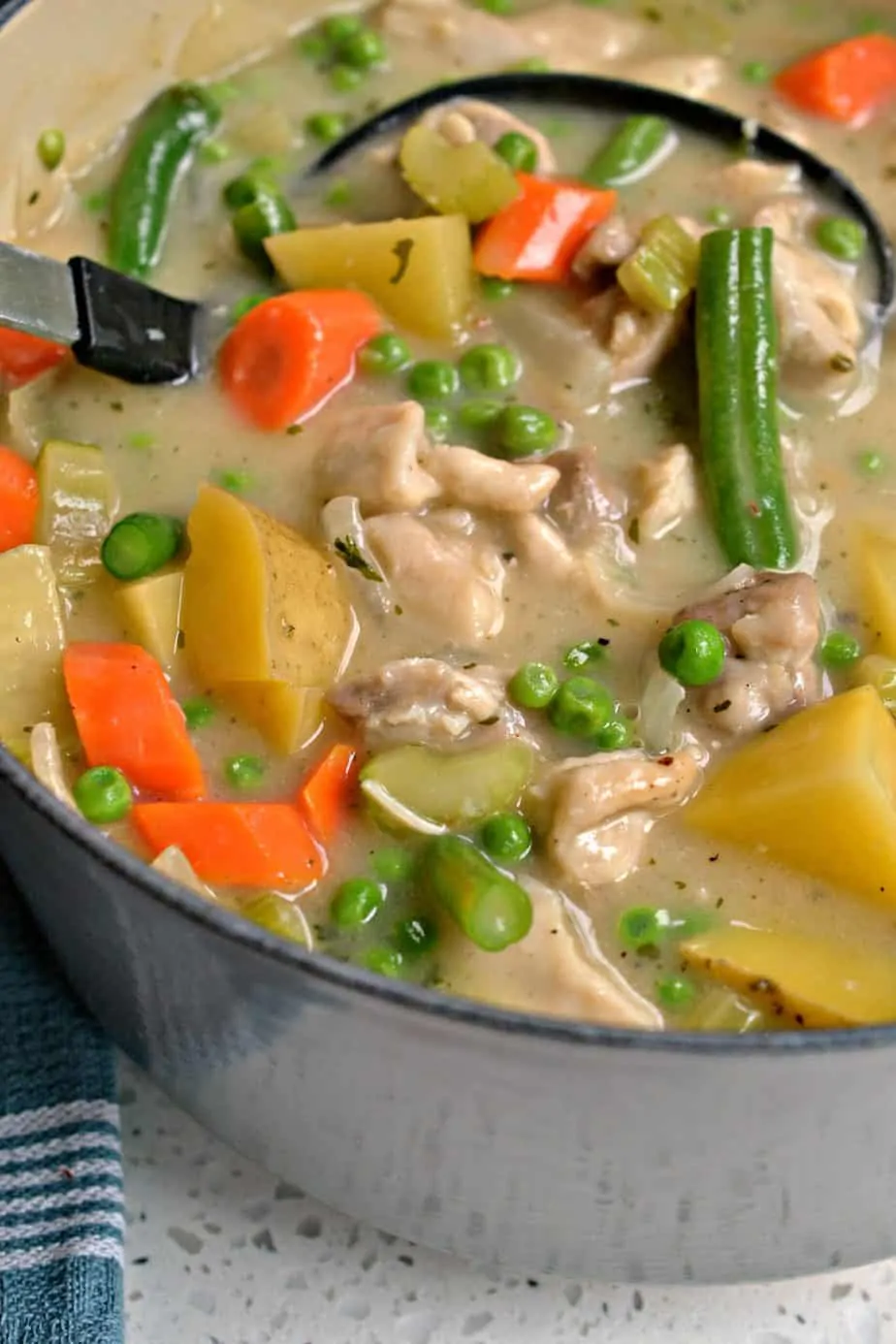 This easy Chicken Stew combines browned chicken thighs with onion, celery, carrots, potatoes, green beans, and peas in a rich creamy chicken broth that is perfectly seasoned