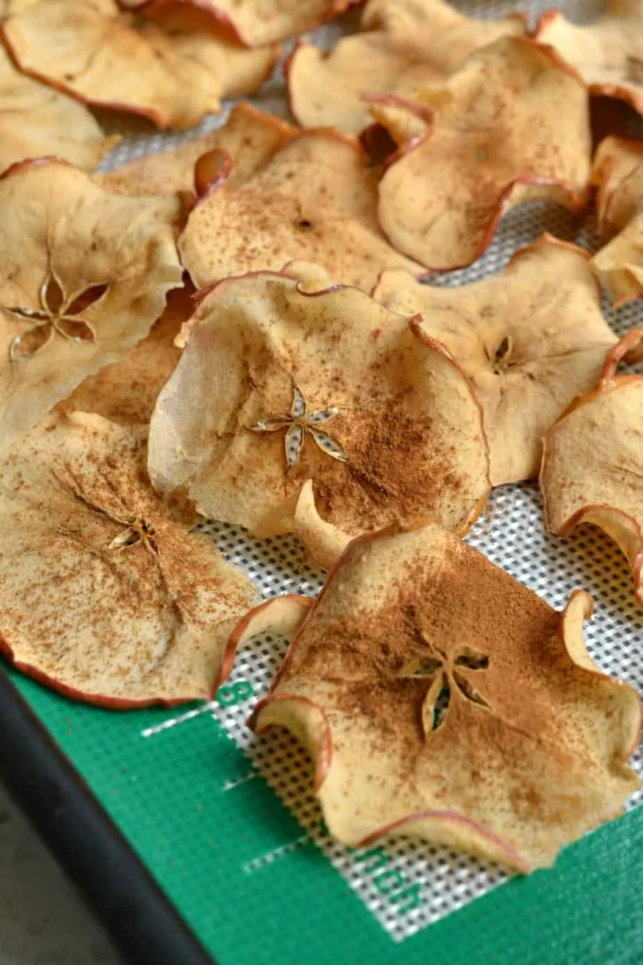 These fun and easy Apple Chips make for a fabulous fall presentation and healthy snack.