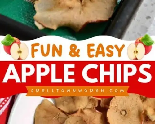 Apple Chips