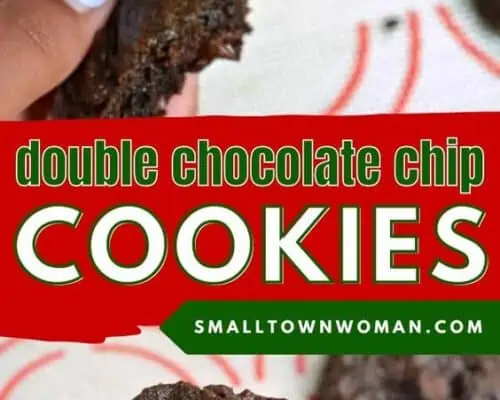 Double Chocolate Chip Cookies