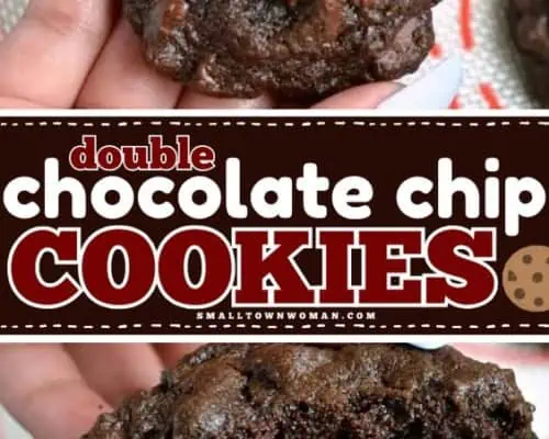 Double Chocolate Chip Cookies