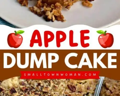 Apple Diump Cake