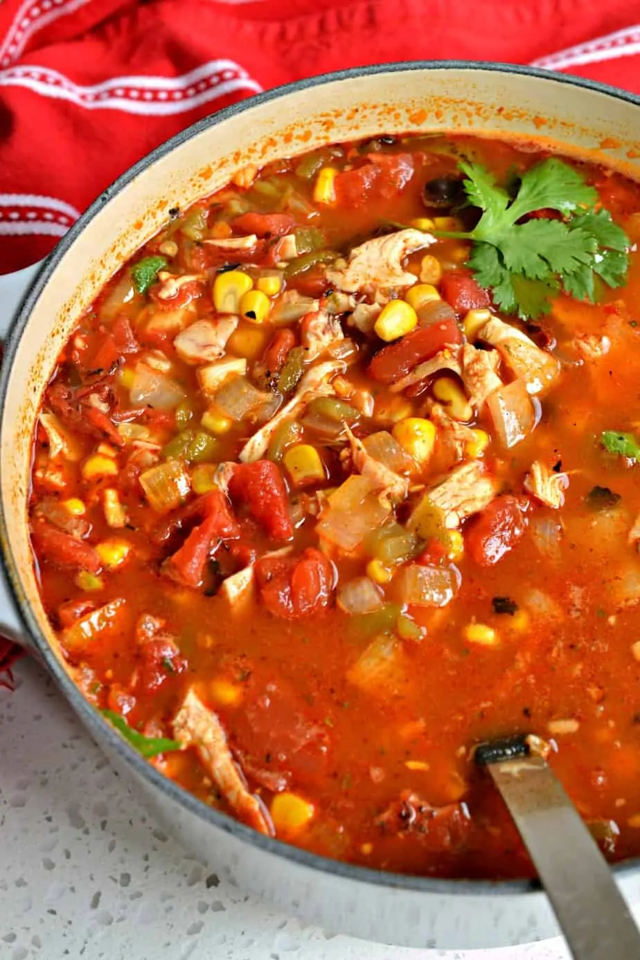 This delectable quick and easy Chicken Taco Soup is family friendly and flavor packed. 