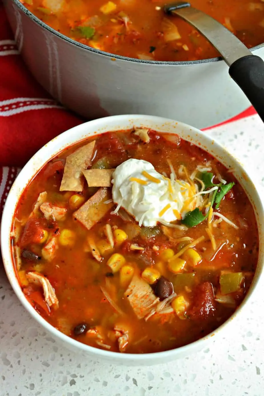 This delicious yet simple Chicken Taco Soup is made in less than thirty minutes using already cooked rotisserie chicken.