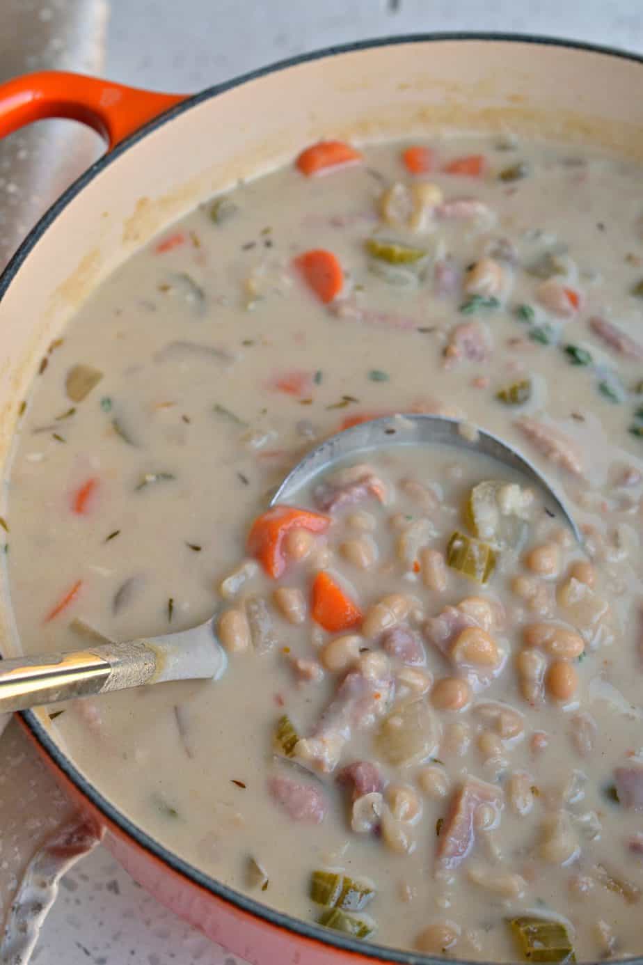 This easy, quick, and delectable Ham and Bean Soup is alway a welcome family meal. 