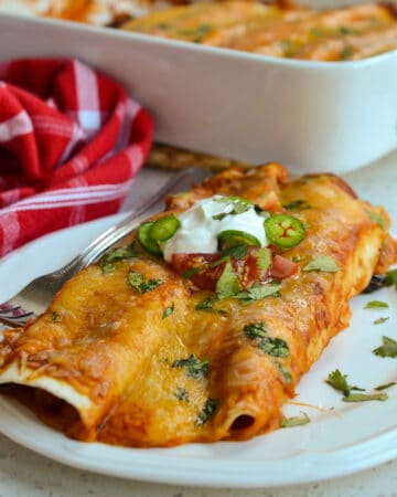 Chciken Enchiladas