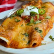 Chciken Enchiladas
