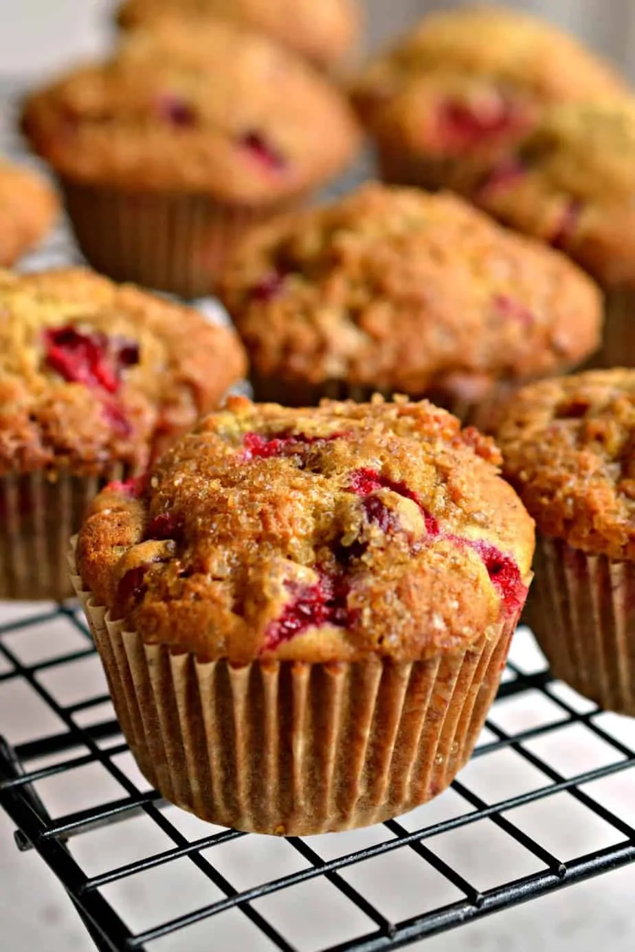 These Cranberry Orange muffins are the perfect companion for your morning coffee. 