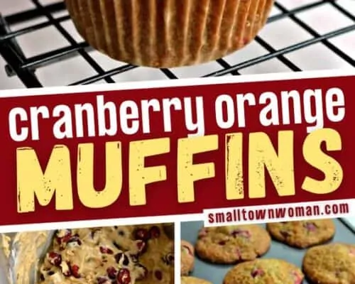 Cranberry Orange Muffins