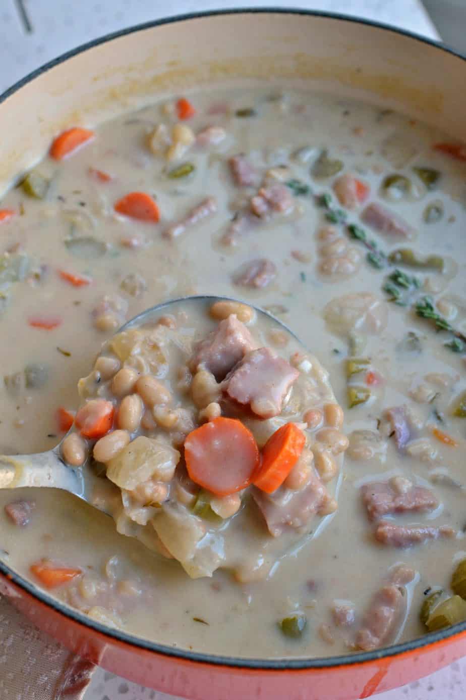 This mouthwatering good Ham and Bean soup is made easy with a simple ham steak and canned white beans.