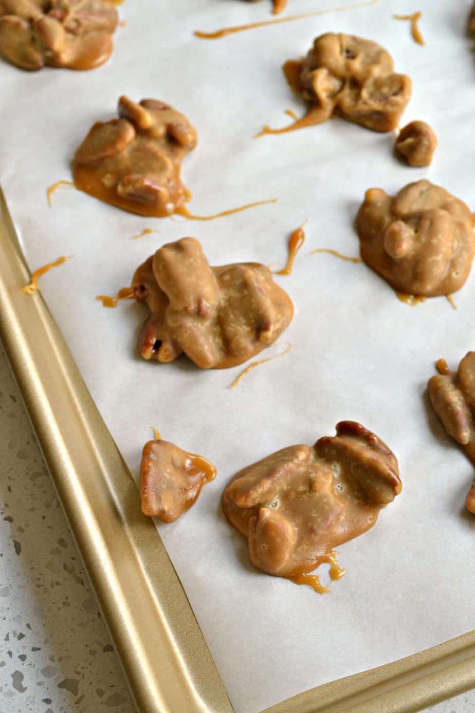 This scrumptious Southern Pecan Praline Recipe is made easy on the stovetop with six ingredients.