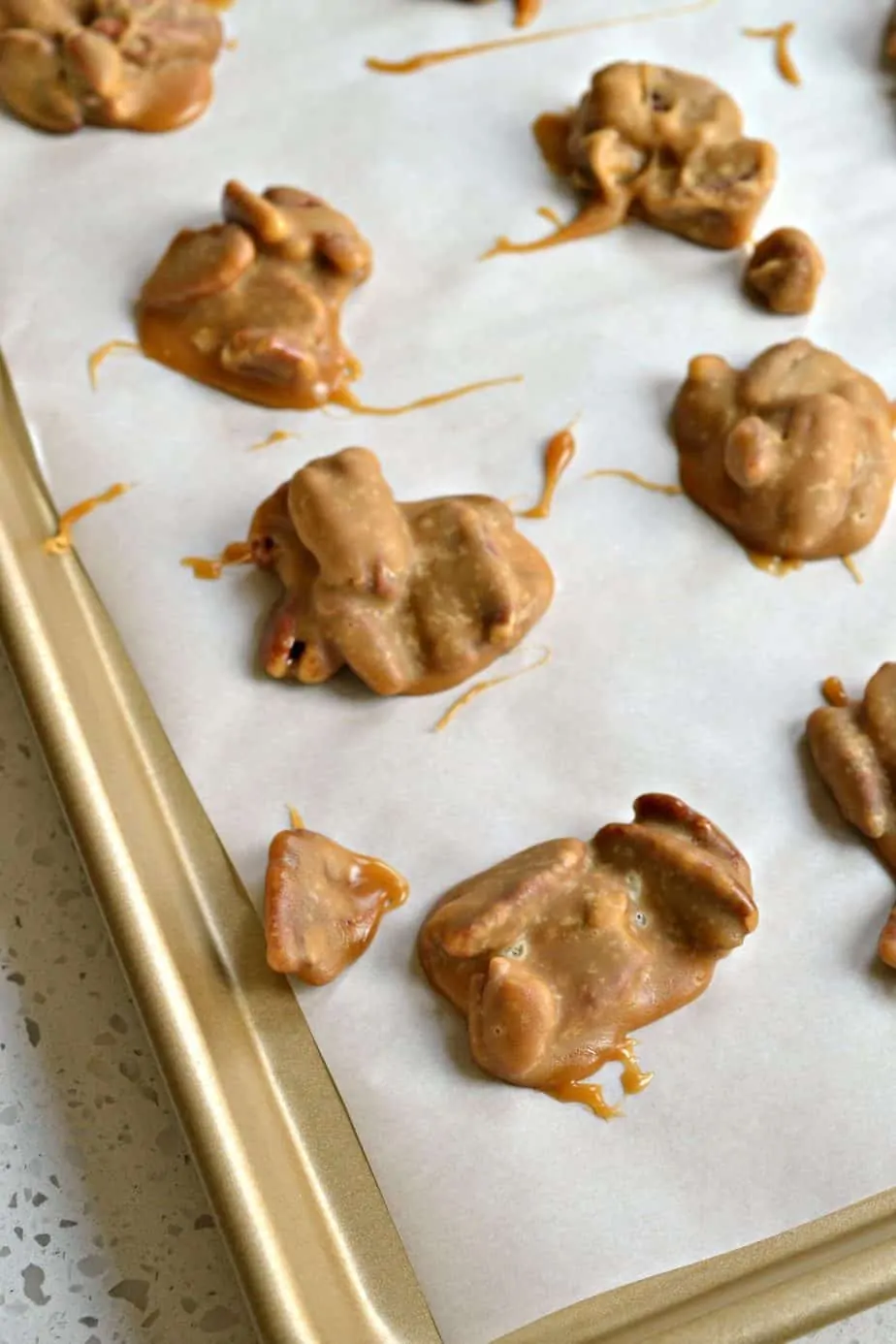 This scrumptious Southern Pecan Praline Recipe is made easy on the stovetop with six ingredients.