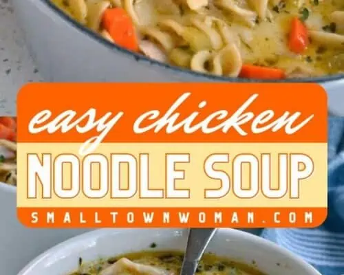 Chicken Noodle Soup