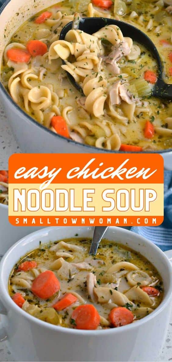 Homemade Chicken Noodle Soup | Small Town Woman