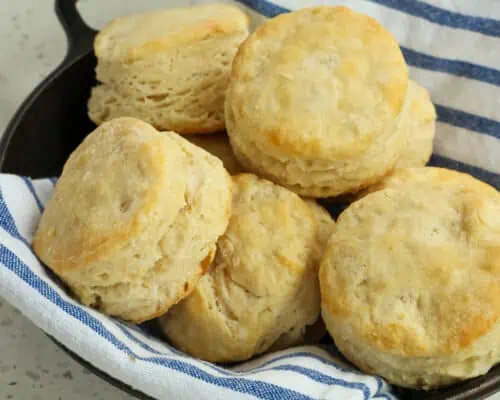 Buttermilk Biscuits