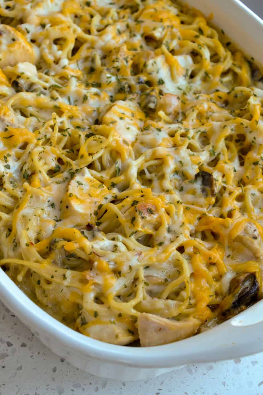 This creamy dish is made with chicken, mushrooms, onions, garlic and pasta all in a creamy cheddar cheese sauce.
