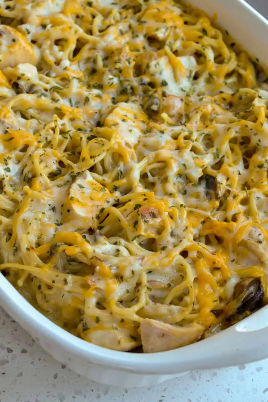 This creamy dish is made with chicken, mushrooms, onions, garlic and pasta all in a creamy cheddar cheese sauce. 