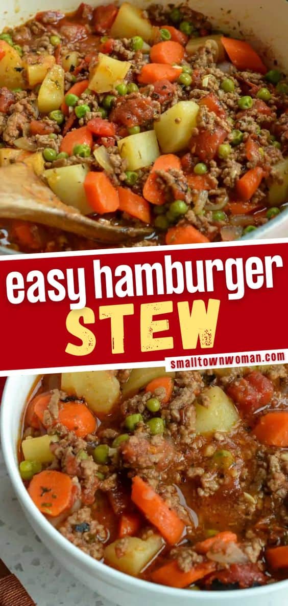 Hamburger Stew (One Easy Quick and Economical Meal)