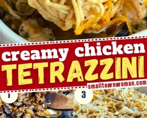 Chicken Tetrazzini