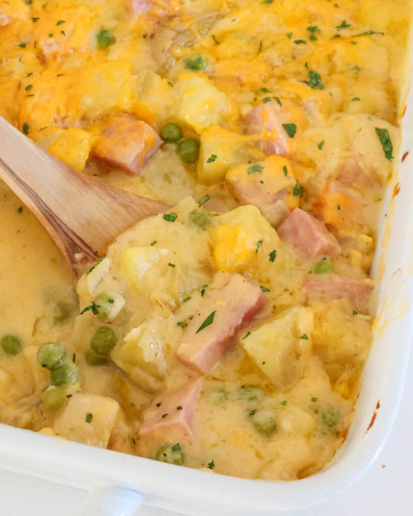 A 9x13-inch casserole dish full of cheesy ham and potato casserole.