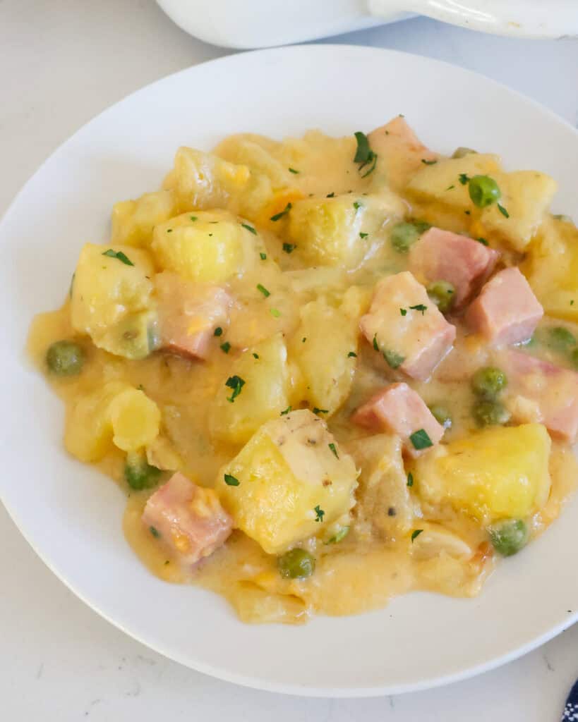 A close up view of cheesy ham and potato casserole on a single serving plate.