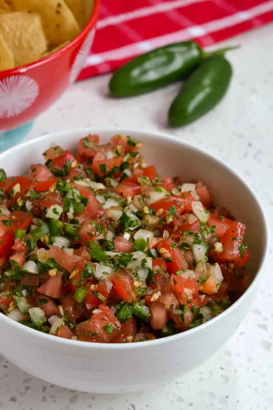 Bowl full of Pico de Gallo