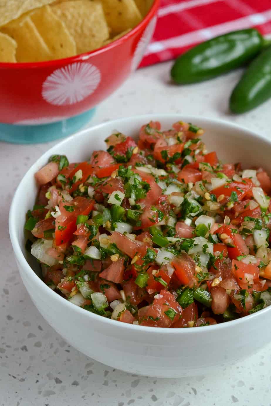 Bowl of Pico de Gallo with tortilla chips on the side. 