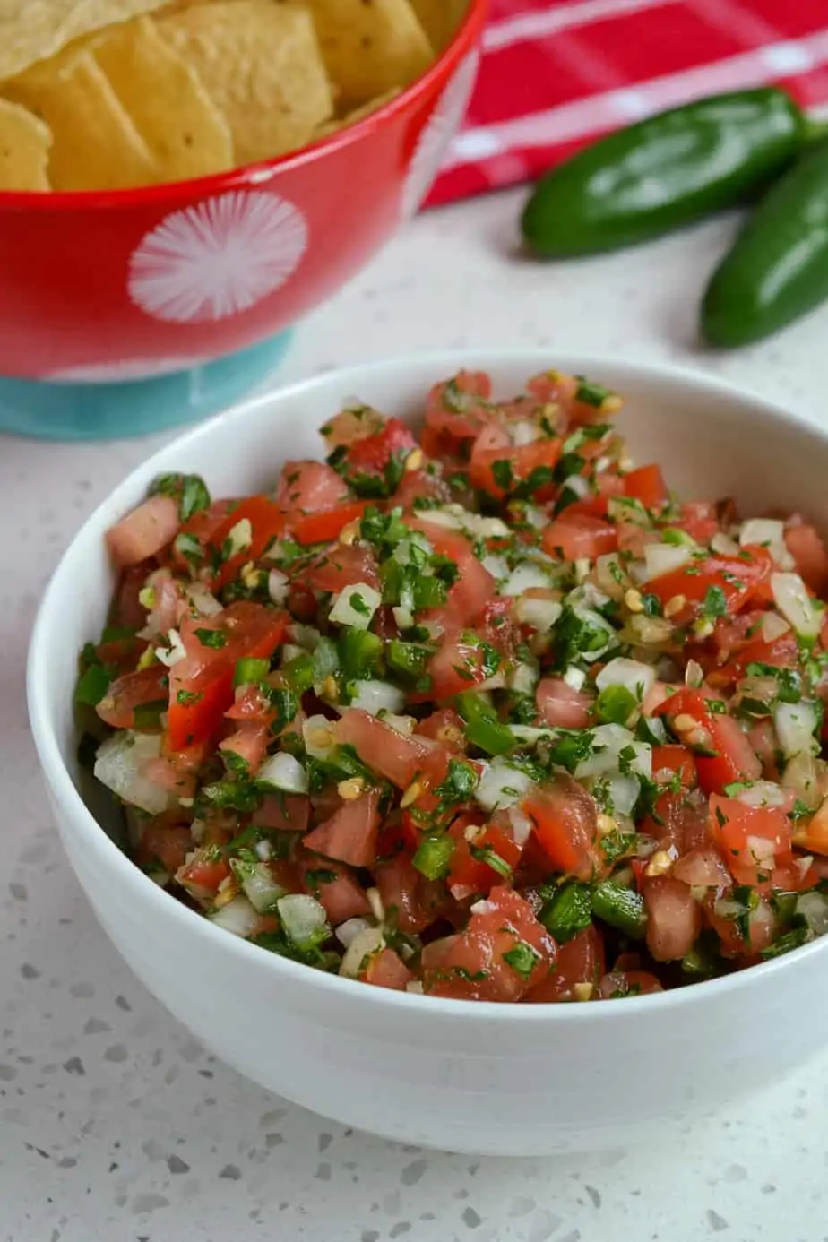 Bowl of Pico de Gallo with tortilla chips on the side. 