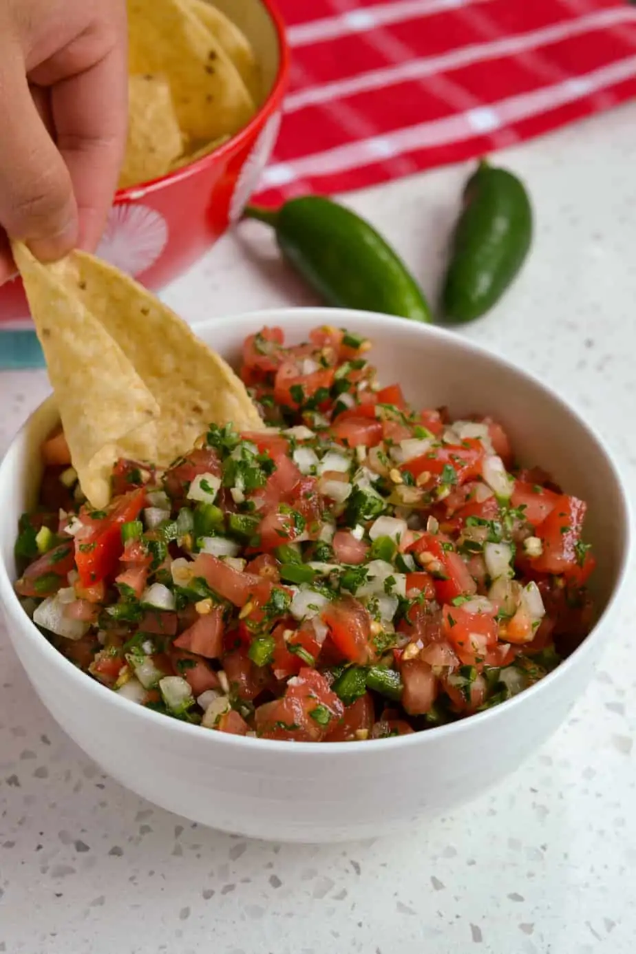 A tortilla chip dipped in Pico de Gallo. 