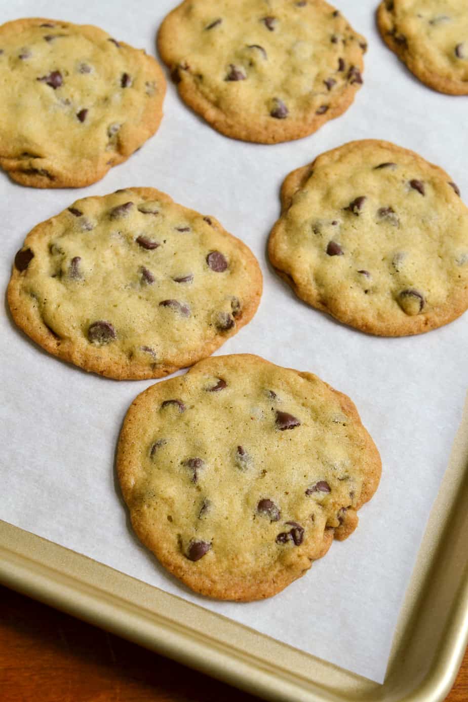 A baking sheet full of crispy chocolate chip cookies.
