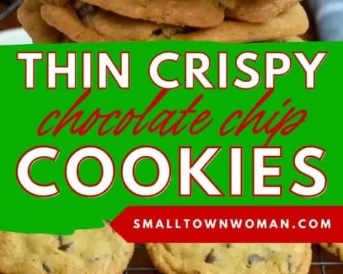 Thin Crispy Chocolate Chip Cookies