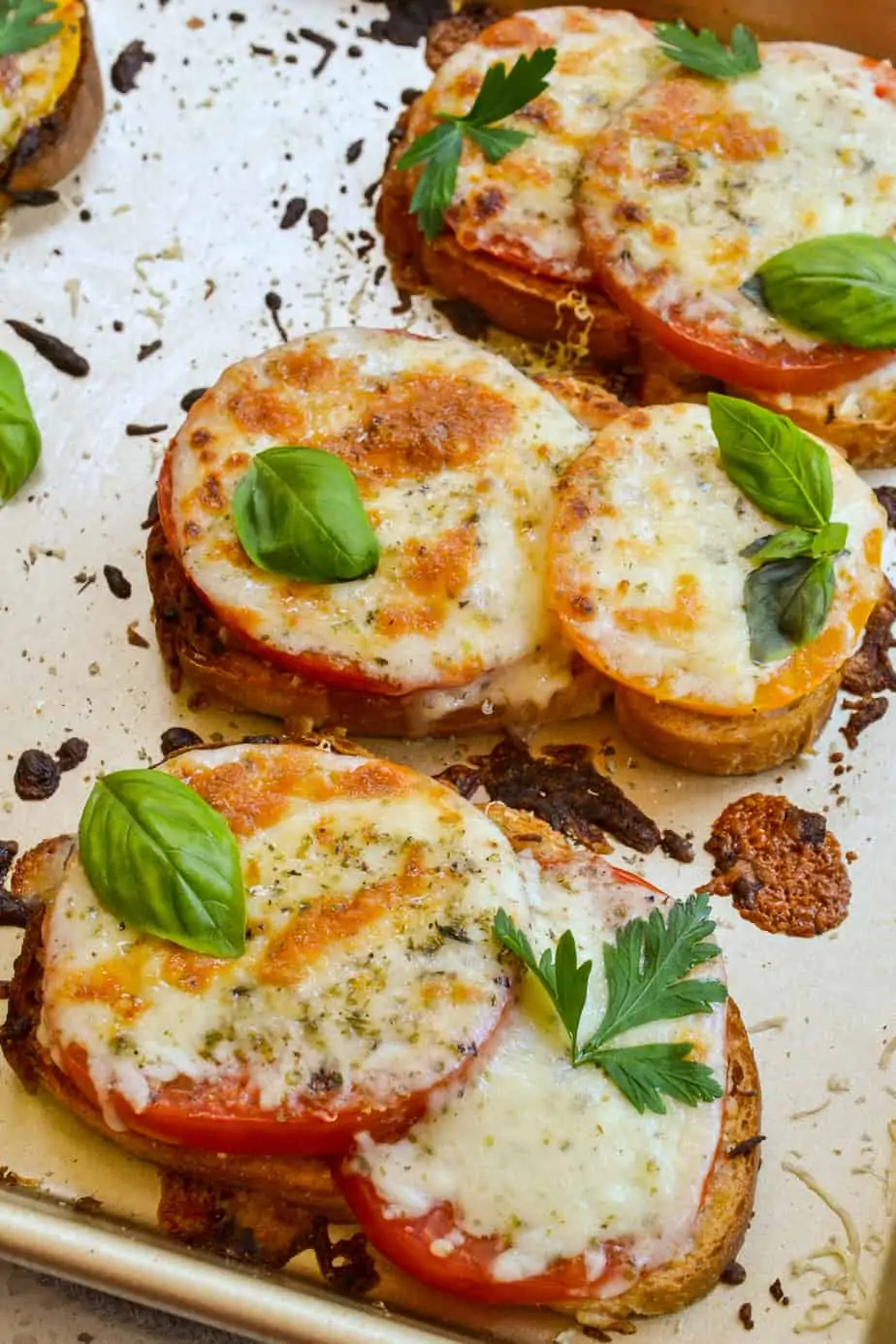Lightly browned broiled tomato sandwich with whole milk mozzarella and fresh herbs. 