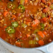 Vegan Lentil Soup