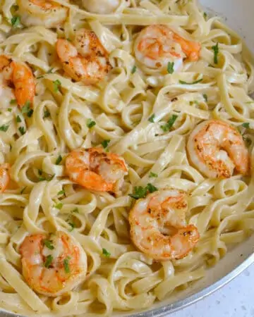 Shrimp Alfredo Pasta